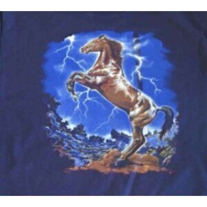 Kid's T Shirt Rearing Horse Child Children's Youth XL Navy Anvil Never Worn NEW